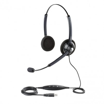 Jabra BIZ 1900 Duo USB