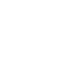 Video Phone